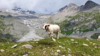 20230720_120251.jpg &ndash; &copy; Ria Heilmann (Eberhardt TRAVEL)