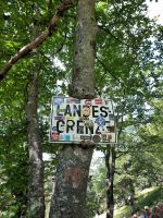 20230826 125256 &ndash; &copy; Betina Marinov (Eberhardt TRAVEL)