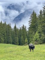 3. Etappe: Aufstieg zum Birgitzköpfl &ndash; &copy; Patrick Fritzsche (Eberhardt TRAVEL)