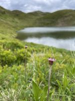 5. Etappe: Lichtsee &ndash; &copy; Patrick Fritzsche (Eberhardt TRAVEL)