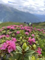 6. Etappe: Abstieg ins Pflerschtal &ndash; &copy; Patrick Fritzsche (Eberhardt TRAVEL)