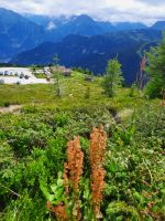 Gasthof Melchboden &ndash; &copy; Betina Marinov (Eberhardt TRAVEL)