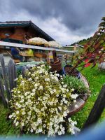 Gasthof Melchboden &ndash; &copy; Betina Marinov (Eberhardt TRAVEL)