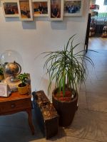 Hotel Steindl's &ndash; &copy; Betina Marinov (Eberhardt TRAVEL)