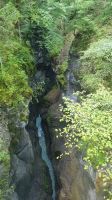 IMG-20240822-WA0009.jpg &ndash; &copy; örtliche Reiseleitung (Eberhardt TRAVEL)