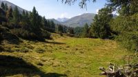 IMG-20240828-WA0049.jpg &ndash; &copy; örtliche Reiseleitung (Eberhardt TRAVEL)
