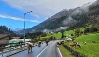 &copy; Jörg Nesse (Eberhardt TRAVEL)