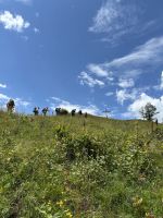 Aufstieg zum Simmel (1.751 Meter) &ndash; &copy; Patrick Fritzsche (Eberhardt TRAVEL)