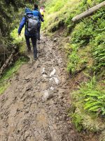 Matschige Wege - Tapfere Wanderer, Wanderung auf dem Höhenweg nach Hochfügen &ndash; &copy; Katrin Jähne (Eberhardt TRAVEL)