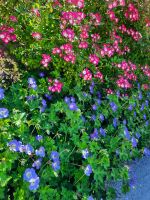 Impressionen &ndash; &copy; Betina Marinov (Eberhardt TRAVEL)