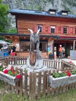 Achensee - Gaisalm &ndash; &copy; Betina Marinov (Eberhardt TRAVEL)