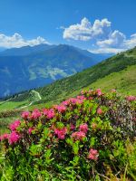 Wanderung nach Hochfügen &ndash; &copy; Betina Marinov (Eberhardt TRAVEL)