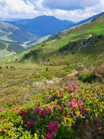 Wanderung zum Rastkogel  &ndash; &copy; Betina Marinov (Eberhardt TRAVEL)