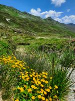 Wanderung zum Rastkogel  &ndash; &copy; Betina Marinov (Eberhardt TRAVEL)