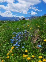20260625 140019 &ndash; &copy; Betina Marinov (Eberhardt TRAVEL)