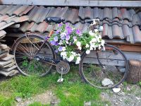 20260625 162558 &ndash; &copy; Betina Marinov (Eberhardt TRAVEL)