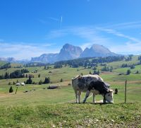 0605 Seiser Alm &ndash; &copy; Jörg Nesse (Eberhardt TRAVEL)