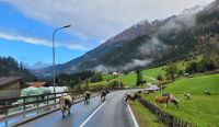 1002 Ausfahrt Kaunertal &ndash; &copy; Jörg Nesse (Eberhardt TRAVEL)