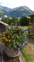 Gampe Thaya &ndash; &copy; Betina Marinow (Eberhardt TRAVEL)