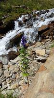 Niederthal &ndash; &copy; Betina Marinow (Eberhardt TRAVEL)