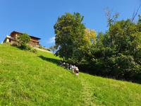 Von der Kundler Klamm zum Hotel &ndash; &copy; Sophia Bär (Eberhardt TRAVEL)