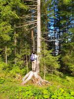 Kogel Rundweg Thierbach &ndash; &copy; Sophia Bär (Eberhardt TRAVEL)