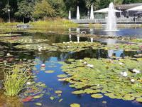 Gartenstadt Tulln &ndash; &copy; Martina Pötschke (Eberhardt TRAVEL)