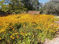 Gartenstadt Tulln &ndash; &copy; Martina Pötschke (Eberhardt TRAVEL)