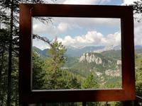 20-Schilling-Blick