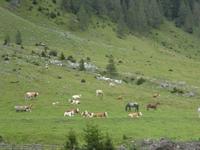 Nockalmstrasse &ndash; &copy; Kerstin Hugel (Eberhardt TRAVEL)