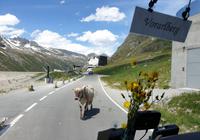 044_Bielerhöhe &ndash; &copy; Jörg Nesse (Eberhardt TRAVEL)