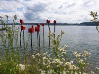 066_Überlingen Landesgartenschau &ndash; &copy; Jörg Nesse (Eberhardt TRAVEL)