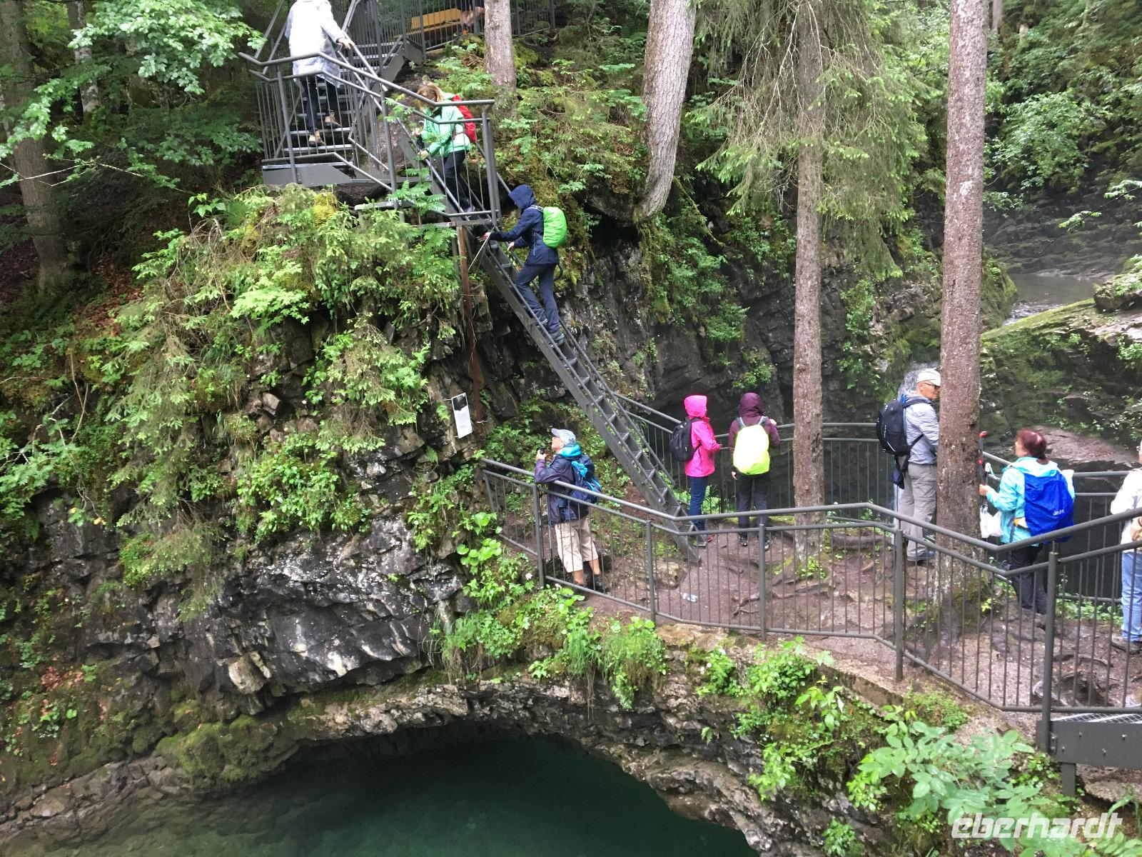 Naturbrücke am Schwarwasserbach &ndash; &copy; Peggy Schkade (Eberhardt TRAVEL)