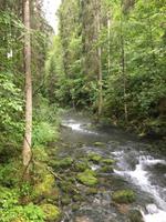 Schwarzwasserbach &ndash; &copy; Peggy Schkade (Eberhardt TRAVEL)