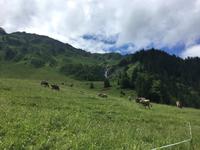 Gemsteltal &ndash; &copy; Peggy Schkade (Eberhardt TRAVEL)