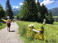 Wanderung nach Riezlern &ndash; &copy; Peggy Schkade (Eberhardt TRAVEL)