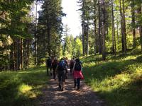 Wanderung nach Riezlern &ndash; &copy; Peggy Schkade (Eberhardt TRAVEL)