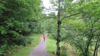 Wanderweg entlang der Breitach &ndash; &copy; Peggy Schkade (Eberhardt TRAVEL)