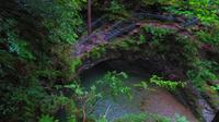 Naturbrücke am Schwarwasserbach &ndash; &copy; Peggy Schkade (Eberhardt TRAVEL)
