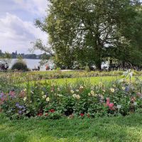 Insel Mainau &ndash; &copy; Kerstin Hugel (Eberhardt TRAVEL)