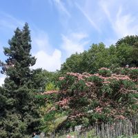 Insel Mainau &ndash; &copy; Kerstin Hugel (Eberhardt TRAVEL)