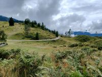 Am Weissensee &ndash; &copy; Steffen Mucke (Eberhardt TRAVEL)