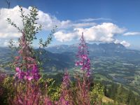 Kitzbühel Hahnenkamm  &ndash; &copy; Sabine Letzybyll (Eberhardt TRAVEL)