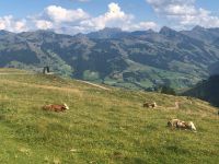 Kitzbühel Hahnenkamm  &ndash; &copy; Sabine Letzybyll (Eberhardt TRAVEL)