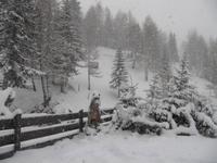 und es schneit fleißig weiter........ &ndash; &copy; Martina Wutzler (Eberhardt TRAVEL)
