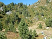 Nockalmstrasse &ndash; &copy; Kerstin Hugel (Eberhardt TRAVEL)