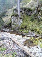 Der Schwarzwasserbach &ndash; &copy; Andrej Kulikov (Eberhardt TRAVEL)
