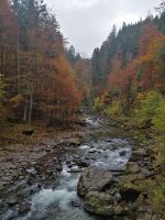Der Breitachbach &ndash; &copy; Andrej Kulikov (Eberhardt TRAVEL)