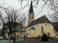 Gumpoldskirchen  &ndash; &copy; Martina Pötschke (Eberhardt TRAVEL)