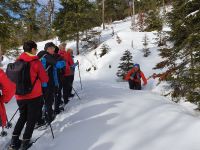 im Pletzachtal